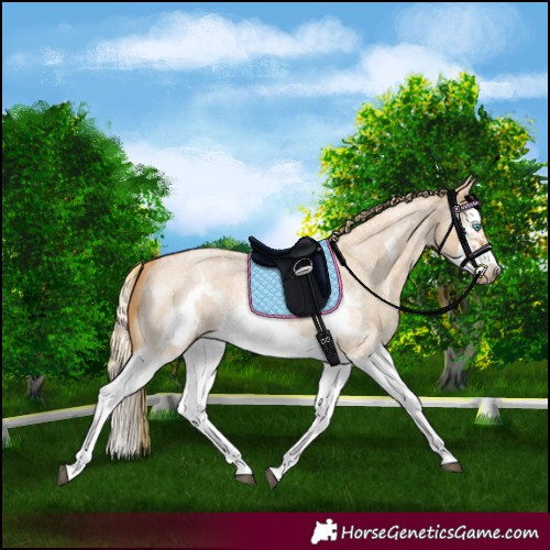 Horse Color:Red Dun Roan Splash Frame Rabicano 