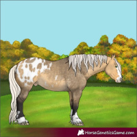 Horse Color:Silver Buckskin Dun Mushroom Blanket 