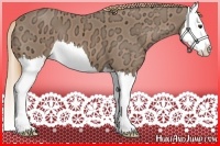 Horse Color:Chestnut Ice Splash 