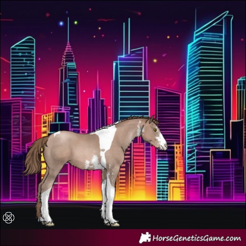Horse Color:Black Pearl Mushroom Sabino Tobiano 