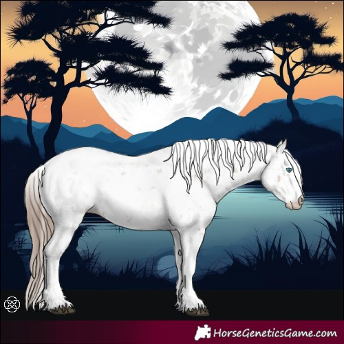 Horse Color:Black Pearl Mushroom Sabino 