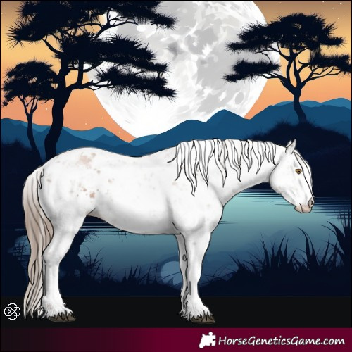 Horse Color:Black Pearl Mushroom Sabino 