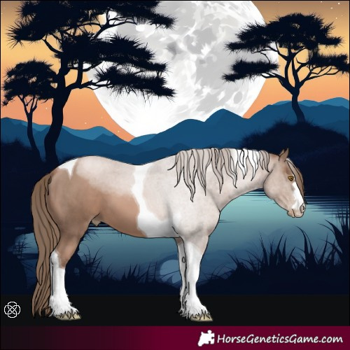 Horse Color:Black Pearl Mushroom Tobiano 