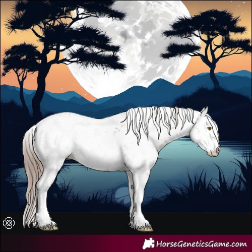 Horse Color:Black Pearl Mushroom Sabino 