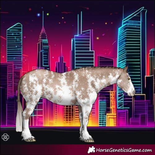 Horse Color:Black Pearl Mushroom Sabino 