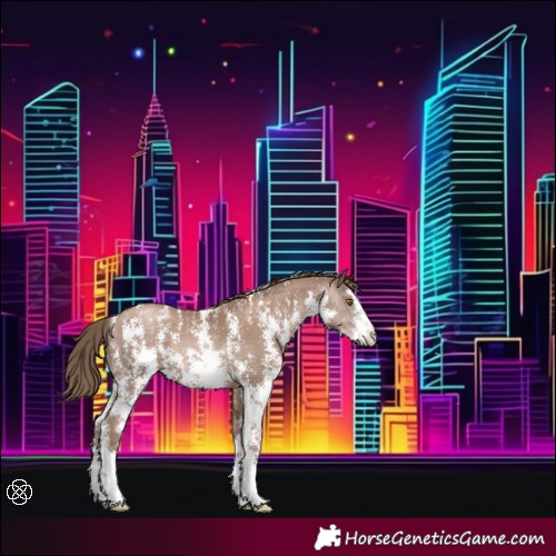Horse Color:Black Pearl Mushroom Sabino 