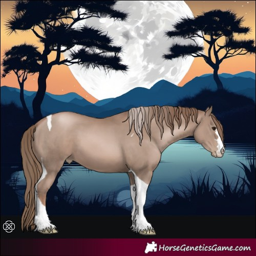 Horse Color:Black Pearl Mushroom Tobiano