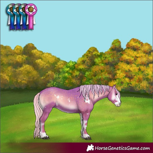 Horse Color:Watercolor White Spotted Silver Blue Onyx Sabino Rabicano
