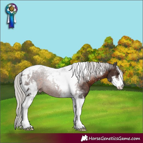 Horse Color:Silver Brown Sabino Tobiano