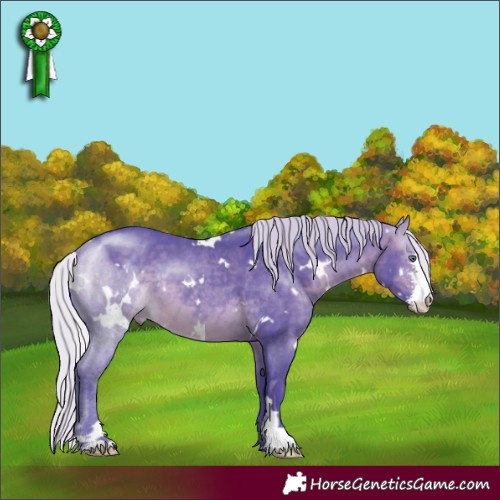 Horse Color:Watercolor White Spotted Silver Brown Chinchilla Sabino
