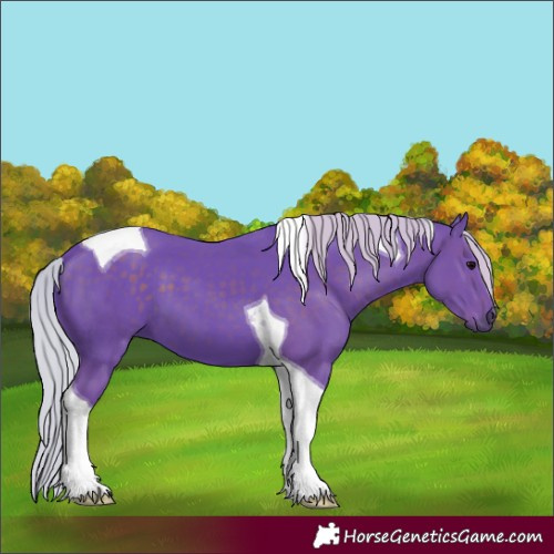 Horse Color:Watercolor Silver Black Tobiano 
