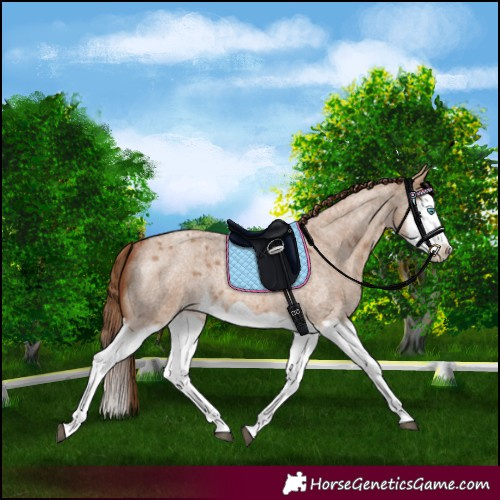 Horse Color:Red Dun Roan Splash Frame Rabicano