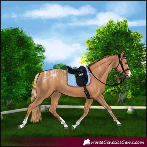 Horse Color:Powder White Chestnut