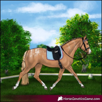 Horse Color:Powder White Chestnut