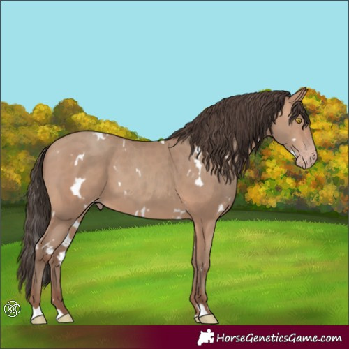 Horse Color:White Spotted Sable Champagne