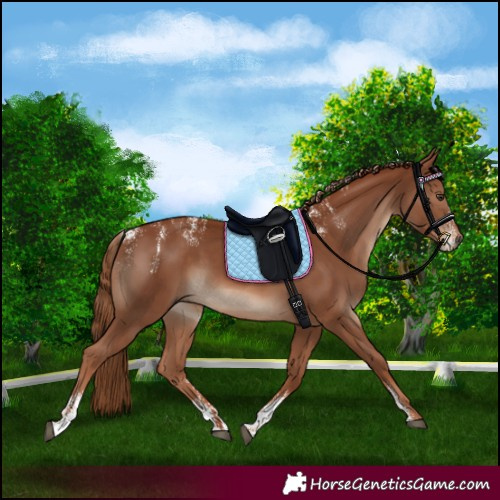 Horse Color:Powder White Chestnut 