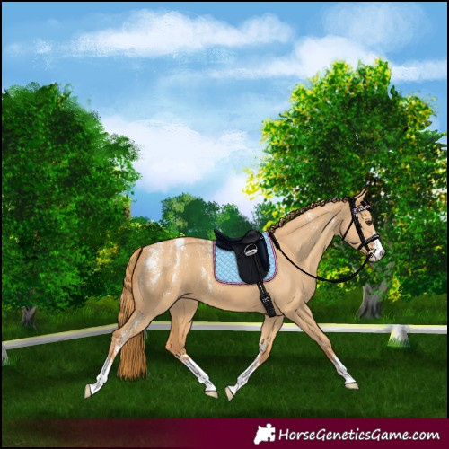 Horse Color:Powder White Red Dun Varnish 
