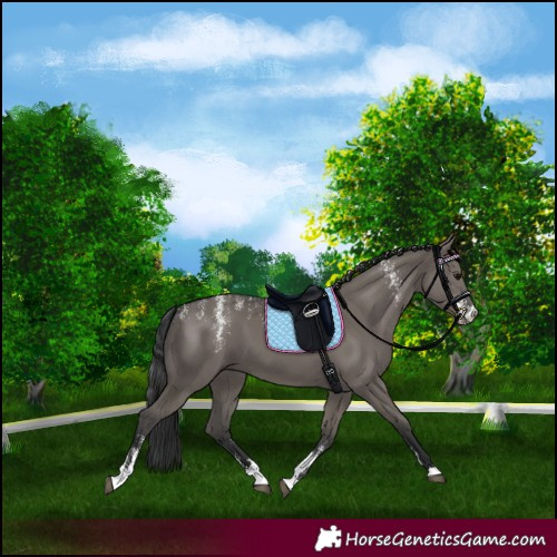 Horse Color:Powder White Grullo