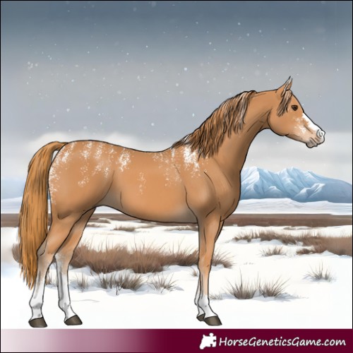 Horse Color:Powder White Chestnut 