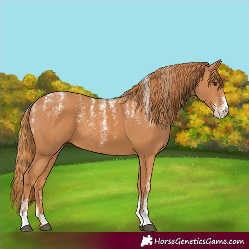 Horse Color:Powder White Chestnut