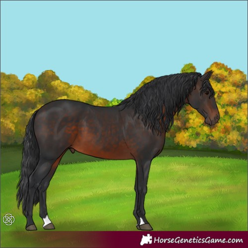 Horse Color:Brown 