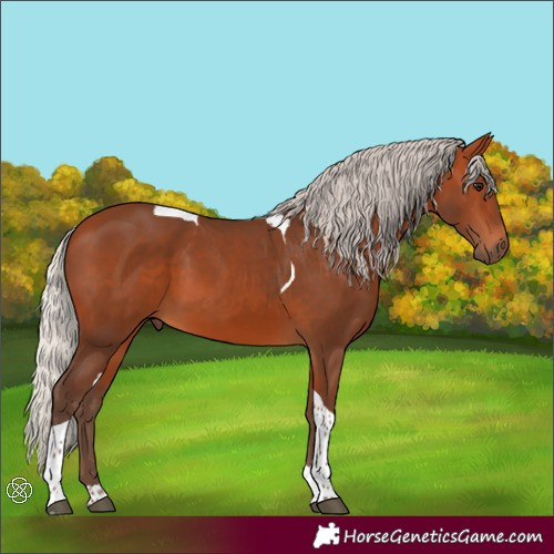 Horse Color:Silver Bay Tobiano