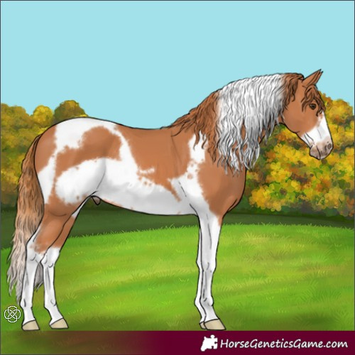 Horse Color:Chestnut Sabino Tobiano Frame 