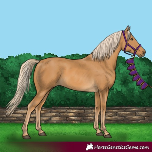 Horse Color:Palomino