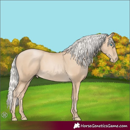 Horse Color:Silver Smoky Black Pearl