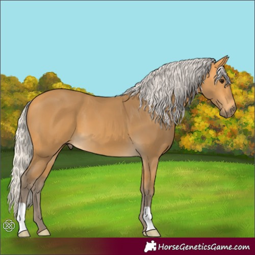 Horse Color:Silver Buckskin