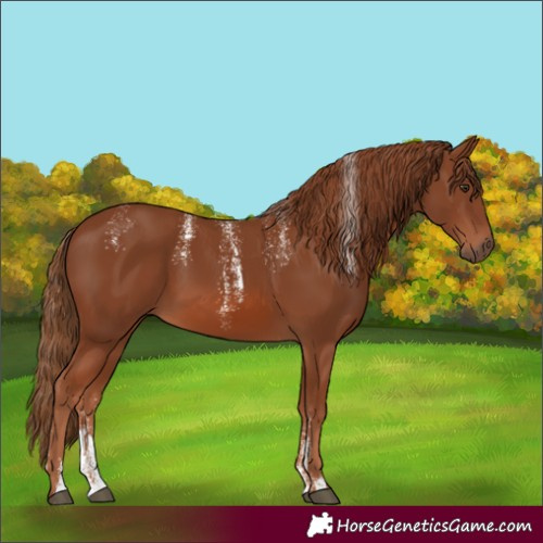 Horse Color:Unknown 