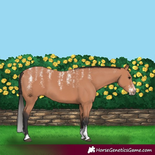Horse Color:Powder White Bay Mushroom 