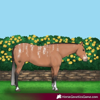 Horse Color:Powder White Bay Mushroom 