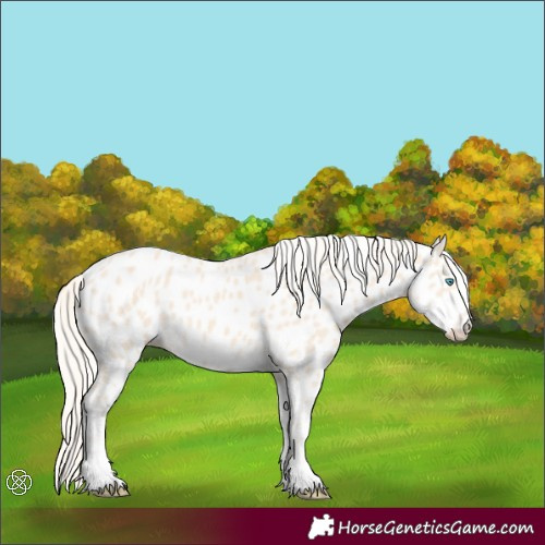 Horse Color:Cremello Near Leopard