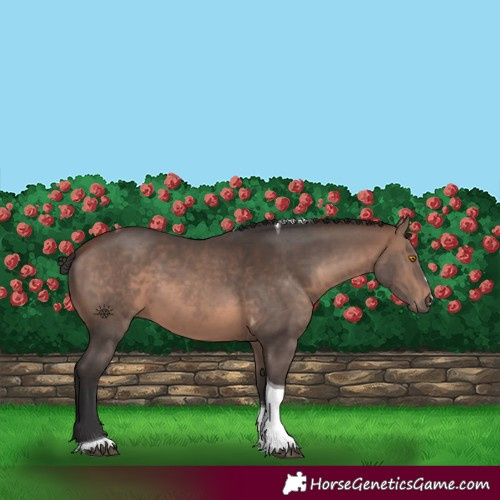 Horse Color:Brown Mushroom Tobiano