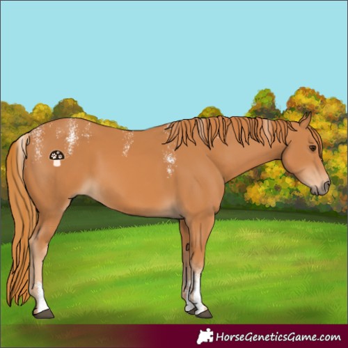 Horse Color:Powder White Chestnut