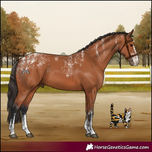 Horse Color:Powder White Bay