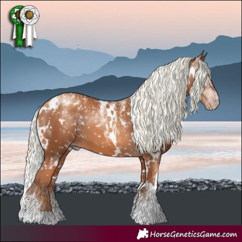 Horse Color:Powder White Gray White Spotted Gold Champagne Mushroom Appaloosa 