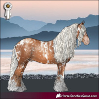 Horse Color:Powder White Gray White Spotted Gold Champagne Mushroom Appaloosa 