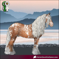 Horse Color:Powder White Gray White Spotted Gold Champagne Mushroom Appaloosa 