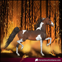 Horse Color:Bay Tobiano