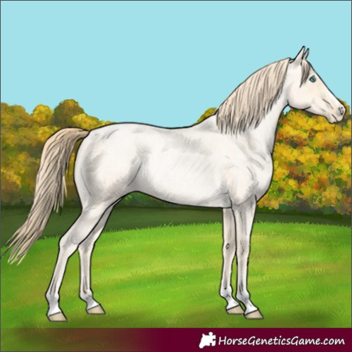 Horse Color:Buckskin Roan Pearl and Buckskin Roan Pearl