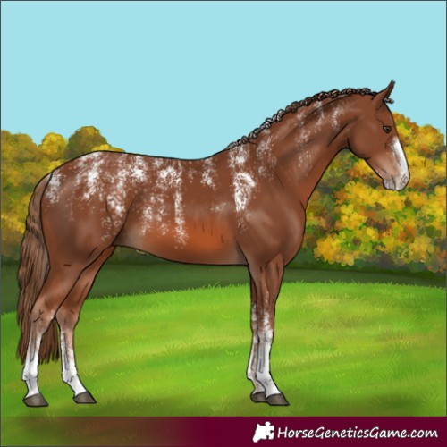 Horse Color:Powder White Chestnut