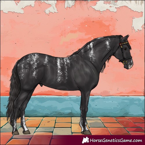 Horse Color:Powder White Smoky Black 