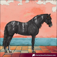 Horse Color:Powder White Smoky Black