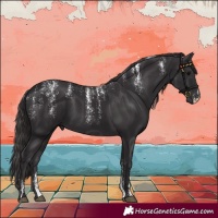 Horse Color:Powder White Smoky Black