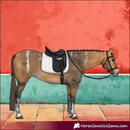 Horse Color:Powder White Buckskin 