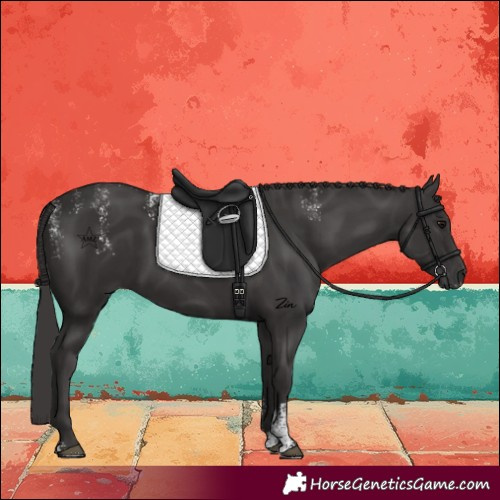 Horse Color:Powder White Smoky Black 