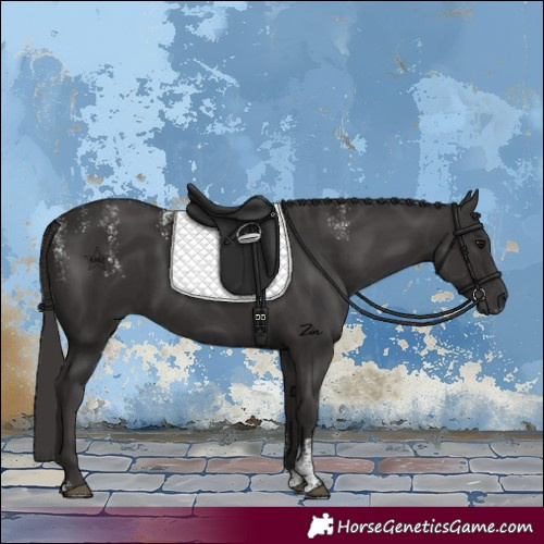 Horse Color:Powder White Smoky Black