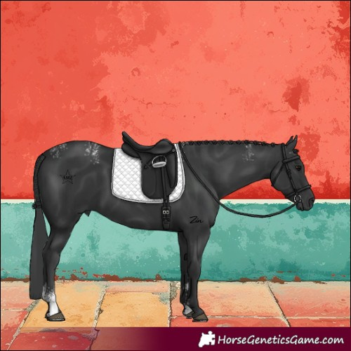 Horse Color:Powder White Black 